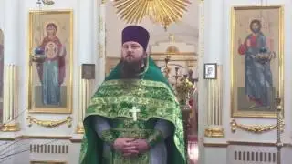 Проповедь настоятеля храма Рождества Христова с. Сенино Чеховского р-на Московской обл. о.Василия