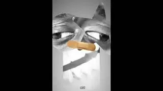 Paris Texas “One” Snippet