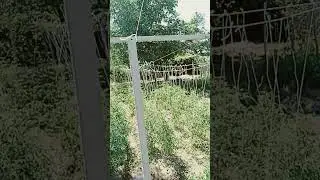 3 июля 2024 г.