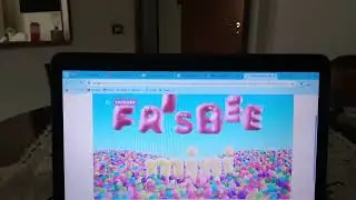 Bumper Frisbee Mini