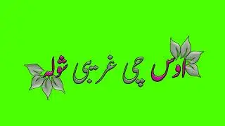 Pashto poetry green screen ||هر چا سترگي بدلي كڑي