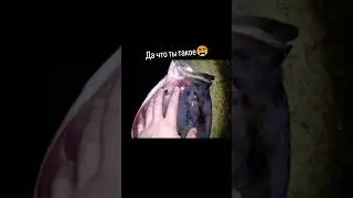 да что ты такое? 😵😵😵😬
