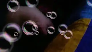 Снежа играется с тапком! Весёлый котёнок!(ч. о.)