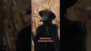 Dato Perturbador de la Peste 😨 