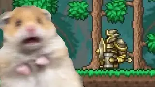 Terraria Paladin be like: