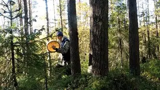 Опять - в поисках шамана.(история)