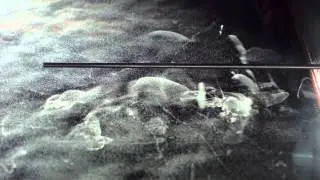 Cloud Chamber