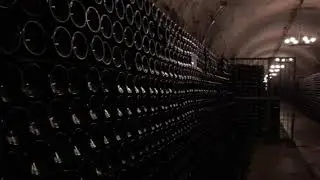 Завод шампанских вин Абрау-Дюрсо. Новороссийск.
