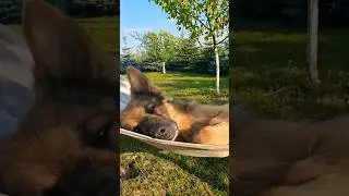 #Мои планы на выходные 😁