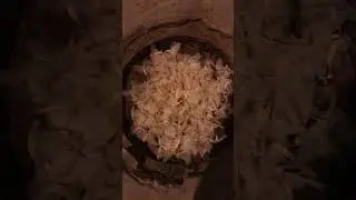 Мотыльки массово прилетели умирать в Варанаси