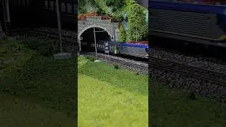 Regionale E464 short