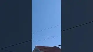 ласточата начинают летать