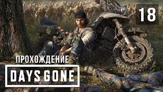 Электростанция • Days Gone • #18