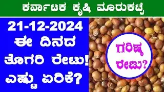 Today Redgram Rates l 21-12-2024 l ತೊಗರಿ ಗರಿಷ್ಠ ಬೆಲೆ ಎಷ್ಟು? l #RedgramRates @BealertJob #Karnataka
