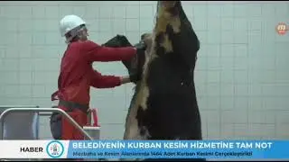 Kurban Kesimi