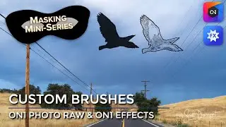 Masking With Custom Brushes In ON1 Photo RAW And ON1 Effects