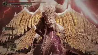 Senessax Finally!