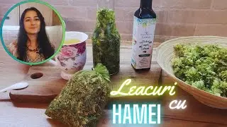 Leacuri de Toamna care Vindeca Depresia, Anxietatea și Insomnia