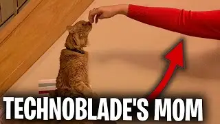 Technoblade's Mom Reveal...