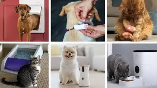7 Most Amazing Pet Gadgets You Should Buy