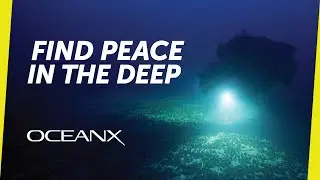 Explore the Ancient Seafloor of the Red Sea l Mission Meditations