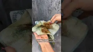 Арт. 233110325
