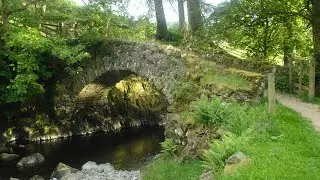 Celebrating The Lakes In June