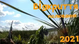 Відкриття полювання 2021. Знову канонада...