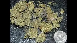 How To Buy Pot From A Stranger In Toronto
