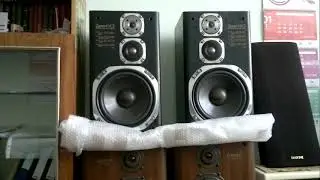 Тест VICTOR ZERO FX3 и DIATONE DS-700Z