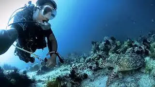 I Love Scuba Diving