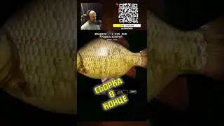 РР4 Медное Карасекарп и Карась золотой Троф!