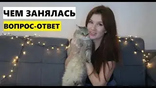 ЧЕМ ЗАНЯЛАСЬ ПОСЛЕ ПРОДАЖИ МАГАЗИНА \ПРИНЦИПЫ ВОСПИТАНИЯ \ПОДГОТОВКА К НОВОМУ ГОДУ