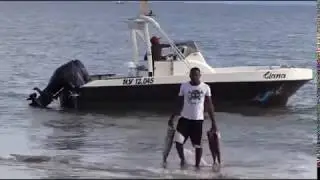 Теория о механизме мира и его восприятии