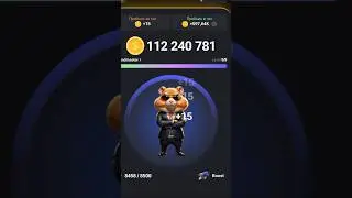 Новые КАРТЫ! Хамстер Комбат! #hamsterkombat #крипта #хамстер