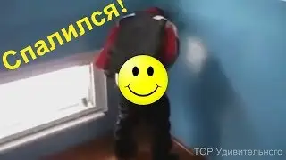 КОГДА СИЛЬНО СПАЛИЛСЯ