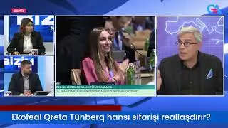 Ekofəal Qreta Tünberq hansı sifarişi reallaşdırır