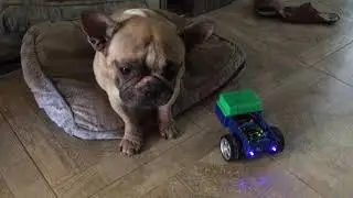 Робот на Ардуино Robostar 01  Часть 1