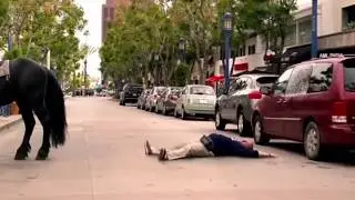 Hayvanların intikamı (Atın intikamı)