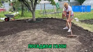 Посадили газон