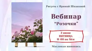 Webinar 