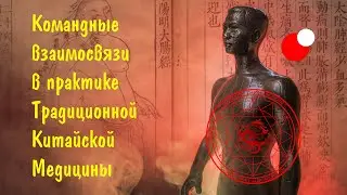 Командные взаимосвязи в практике Традиционной Китайской Медицины