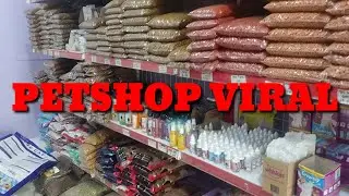 BERBURU MAKANAN DAN PERLENGKAPAN KUCING 🐱🐱