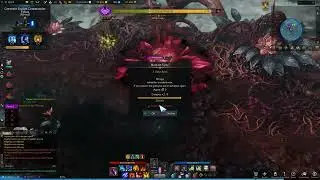 [Lost Ark] Wisdom Check