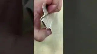Делькин 2