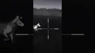 пришёл…