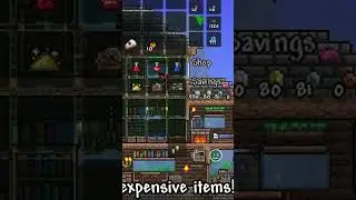 Best Terraria Tips For Beginners!