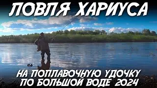 Ловля хариуса на поплавочную удочку по большой воде 2024