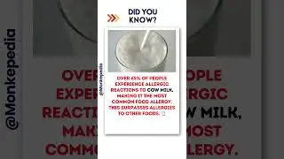 Dairy Dilemma 🐄| #didyouknow #factsdaily  #facts #shorts #ytshorts  #MilkAllergy #FoodAllergy