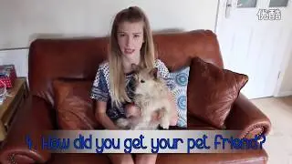 Emily Does The Furry Friend Tag!